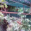 Hanging Gardens